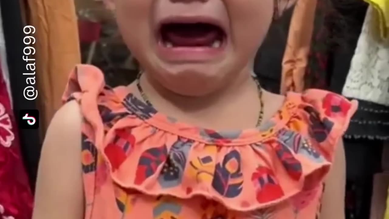 Funny Videos Of 2023