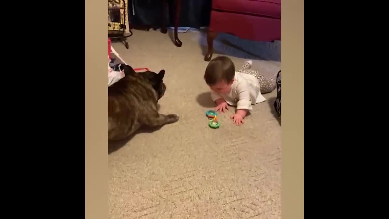 The baby grows up happily with the dog