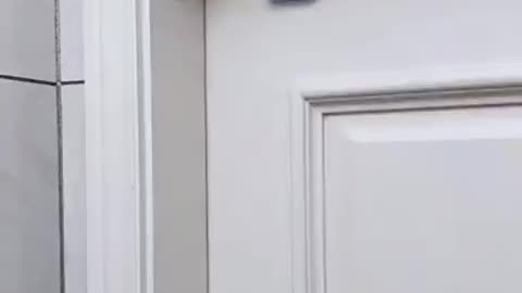 Automatic Door Locker