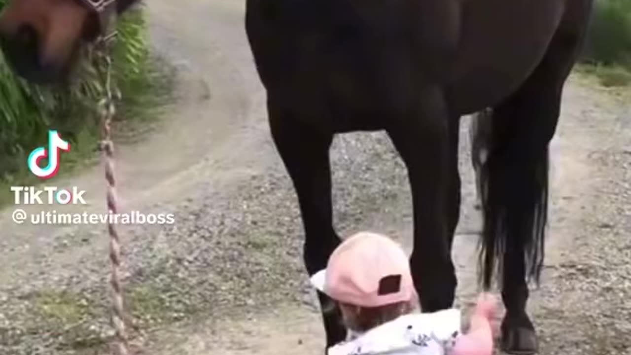 She is boss of the horses