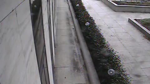 1456HSOB01GroundNortheast_2021-01-05_16h00min01s100ms.mp4