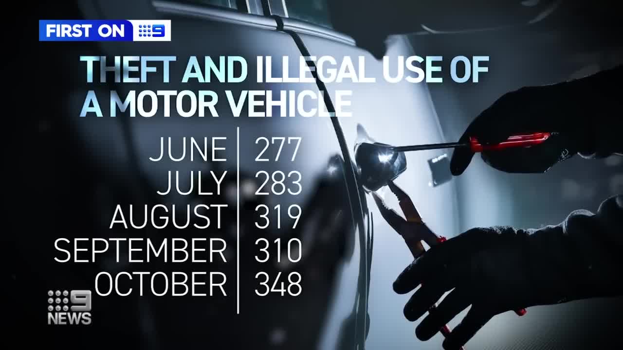 Owner sees stolen car trashed online | 9 News Australia