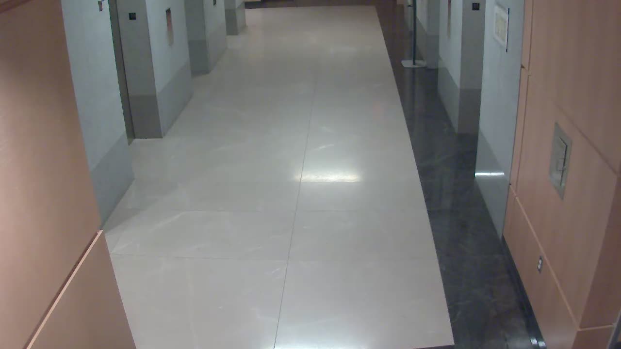 8488OHOB01ElevatorLobby_2021-01-05_22h00min01s683ms.mp4