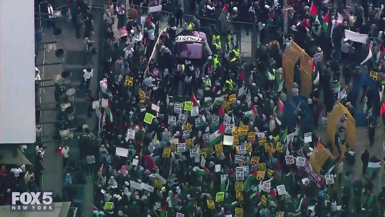 NYC pro-Palestinian rally seen from Sky