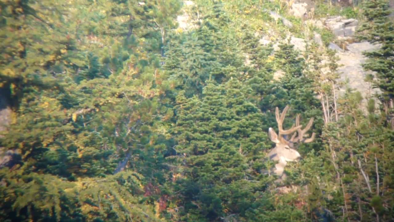 Digiscoping A Backcountry Setup HD