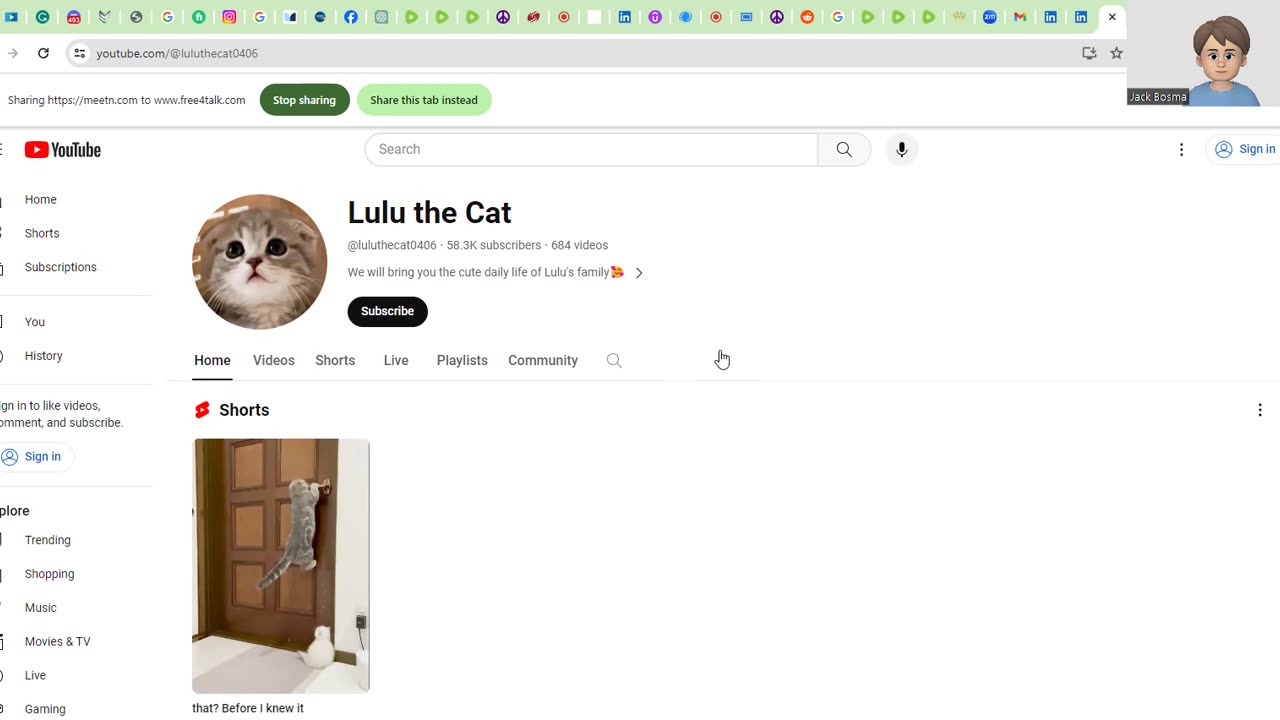 Lulu the Cat