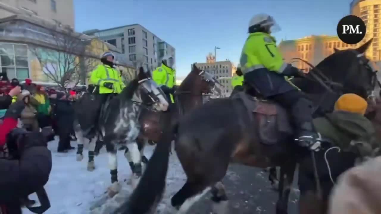 Canadian Police Horse's trampling Peaceful protesters