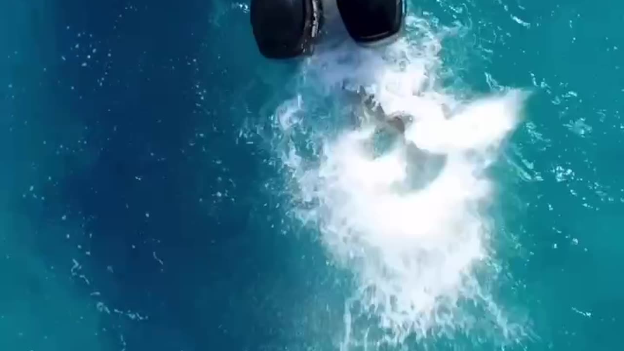 watch this massive shark attacked my buddy’s boat