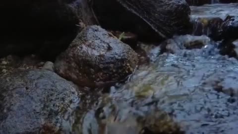 The girl likes to bathe in the stream in the forest