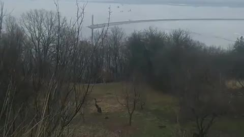 31st Guards air assault on Antonov Airport, Kyiv