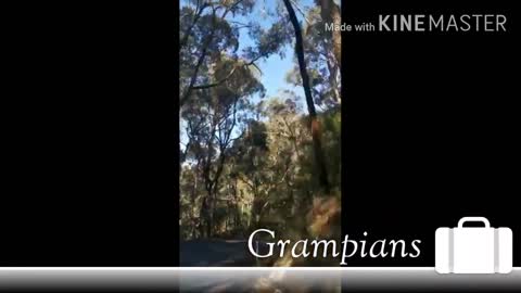 Vlog#1(The Grampians National Park) || Australia Melbourne|| World smallest monkey || KvTrending ||