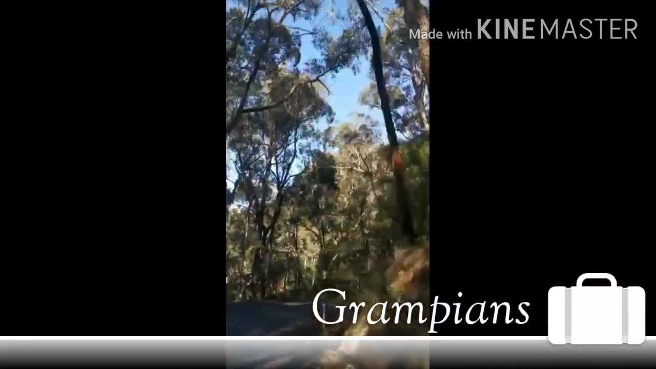 Vlog#1(The Grampians National Park) || Australia Melbourne|| World smallest monkey || KvTrending ||