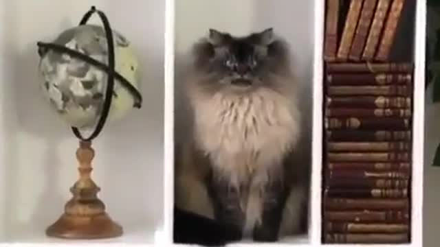 He is clearly plotting against his master