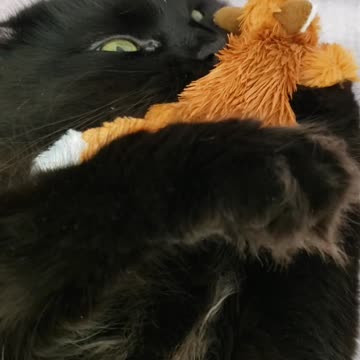 "If That Ain't Love"