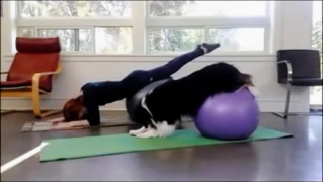 dog practices yoga together with its owner