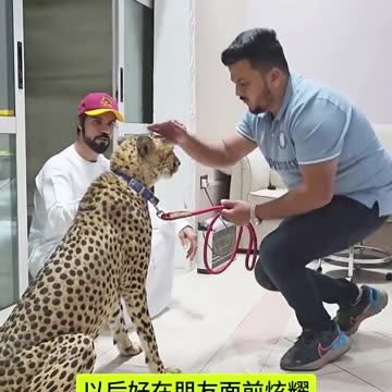 Unfriendly Welcome Slap