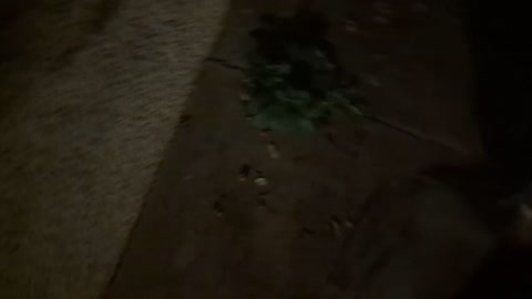 2022-10-30 (1) - (live sans titre) - Twitch Decheterie