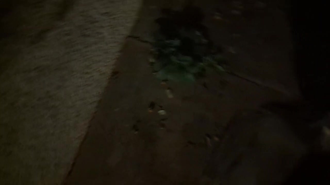 2022-10-30 (1) - (live sans titre) - Twitch Decheterie