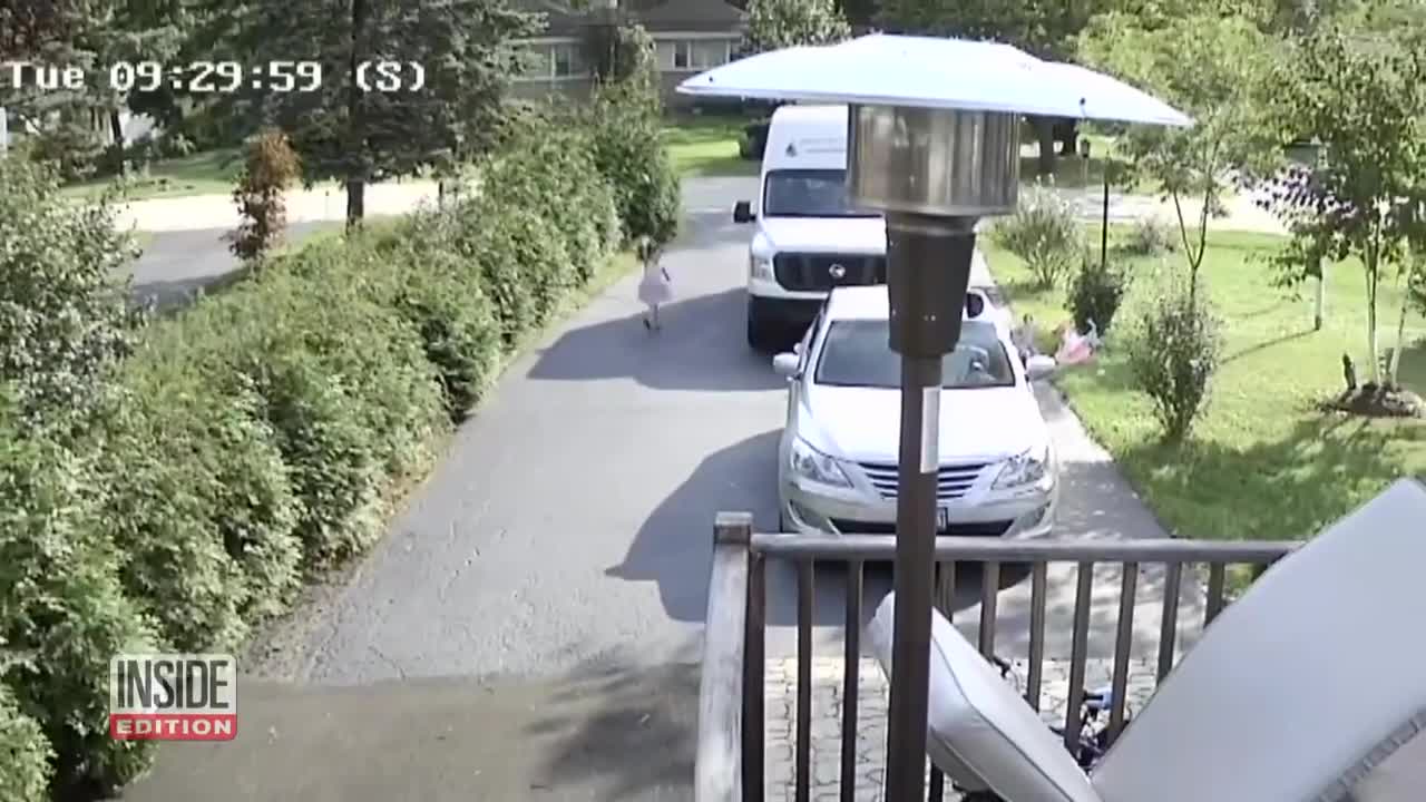 Coyote Chasing 5-Year-Old Was Like ‘Watching a Horror Movie’
