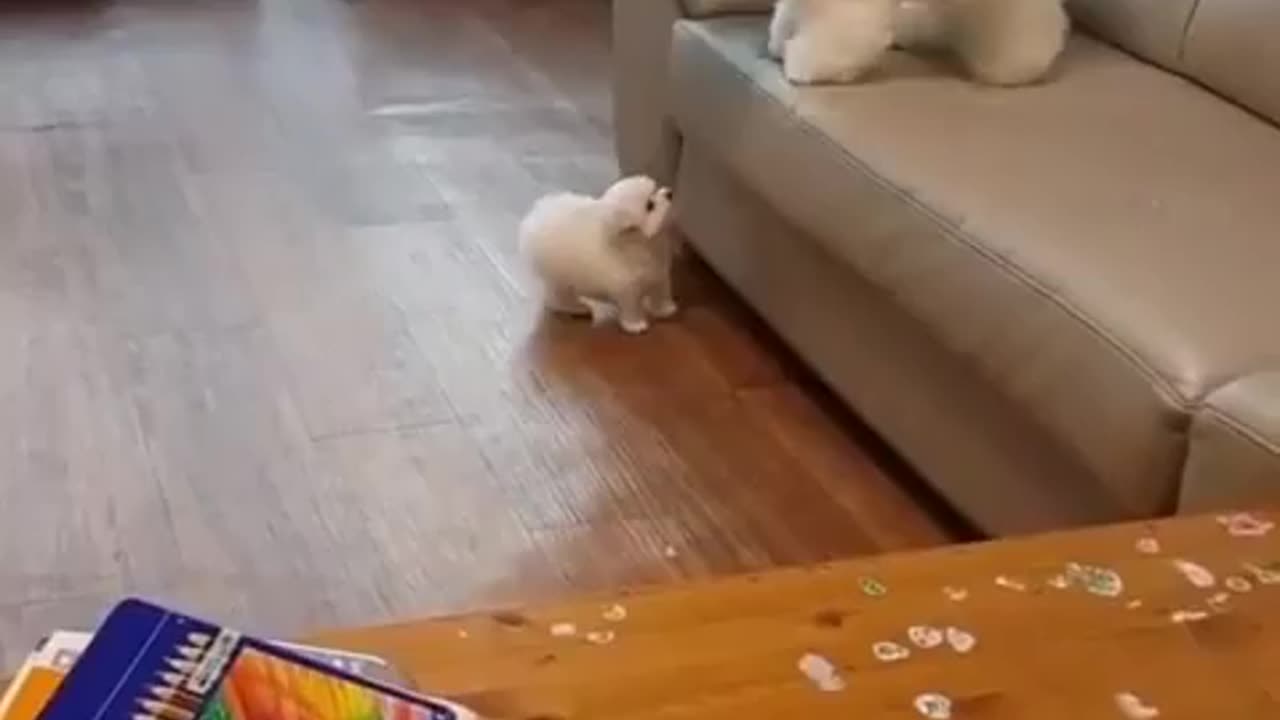 Wants mommy...!how sweet