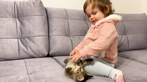 Cute cat and baby funny video