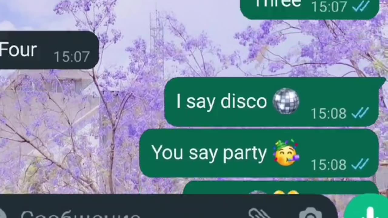 I say disco, you say party 🥳 Disco, disco )