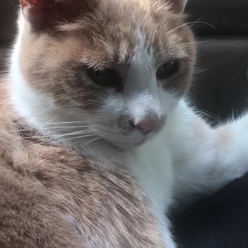 Paige enjoying her morning