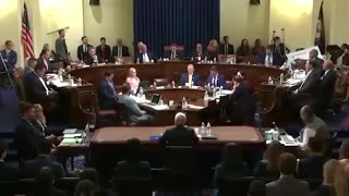 WOW! She ACTUALLY SAID THIS during a hearing!