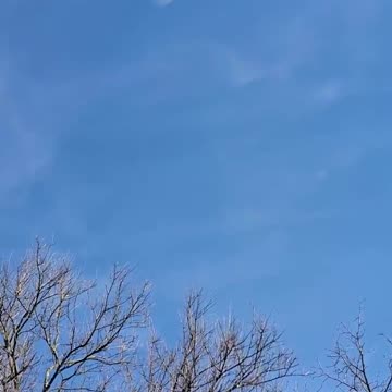 Moon Hit by astoraid caught on camera