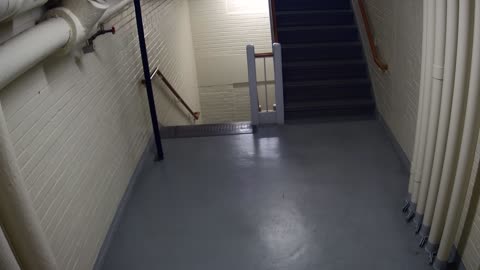 3891FHOB05Stair4_2021-01-05_03h40min01s587ms.mp4
