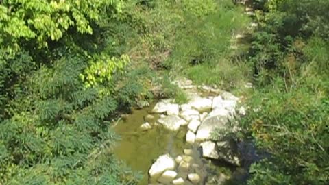 Riverside Chat