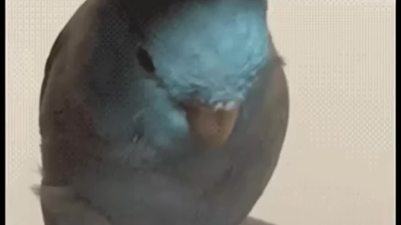 Funny Memes Compilations Part 4