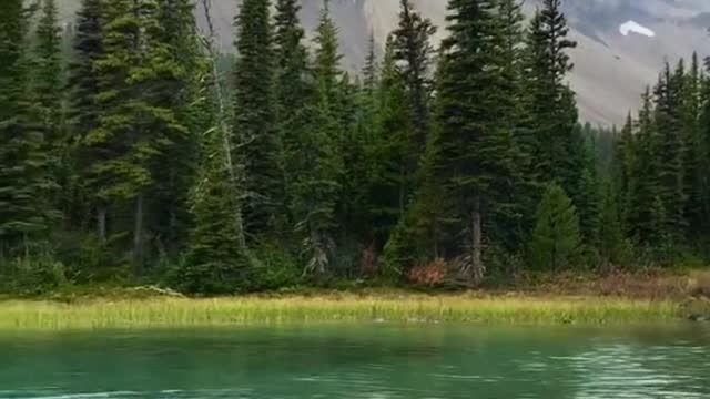 Crowfoot Glacier in Banff National Park.