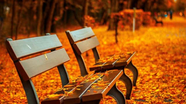 Autumn in Paris