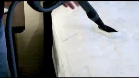 Treat Bedbugs with Steam Cleaner
