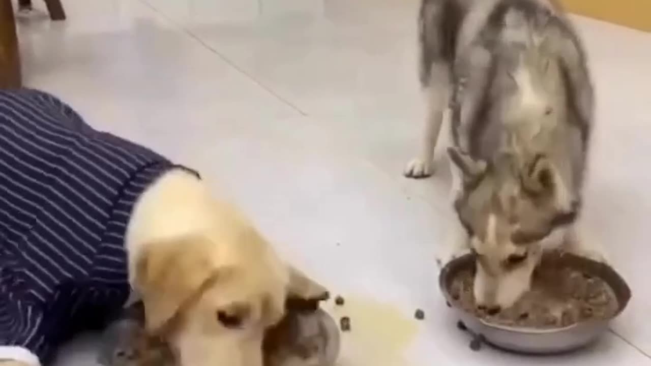 Excuse me!! I m hungry 😋😋😋😋 give me way