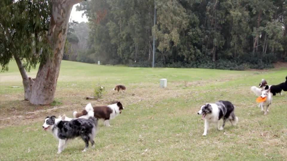 The group of a large family