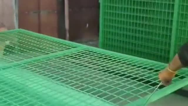 tall tower, climb up the vertical ladder with two of your