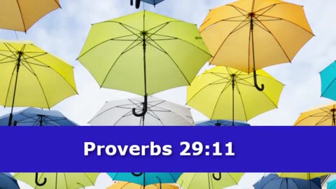 1 Minute -- Proverbs 29 Devotional -- April 29, 2023