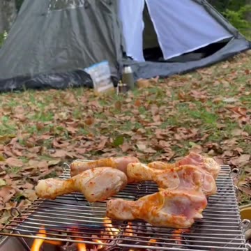 Wild chicken cooking