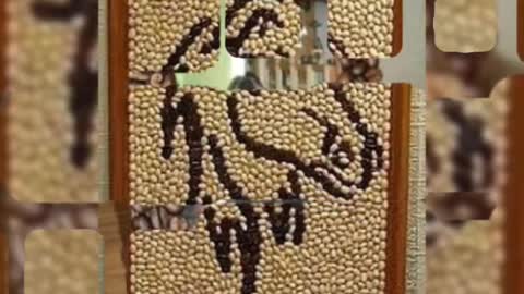 latest amazing pulses craft ideas for beginners
