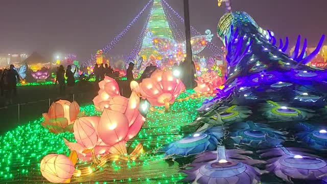 peacock light display at Magical Winter Lights in Baytown, Texas