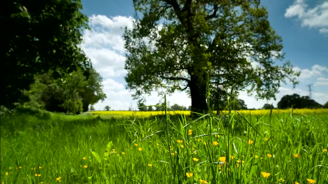 Nature lovers