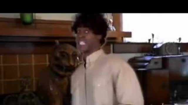 The Dookie Kitty