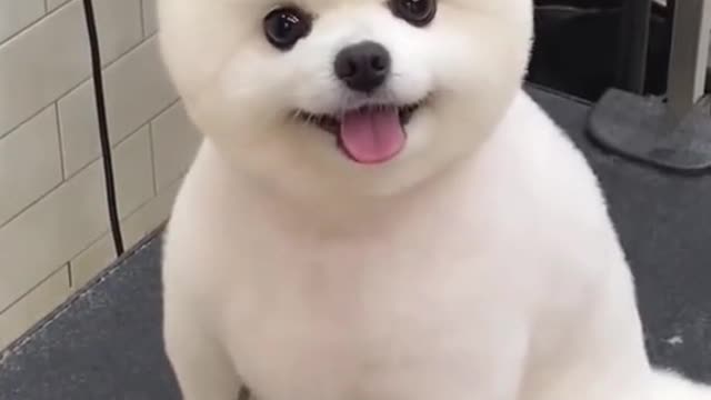 Let's Spaaaaaaa