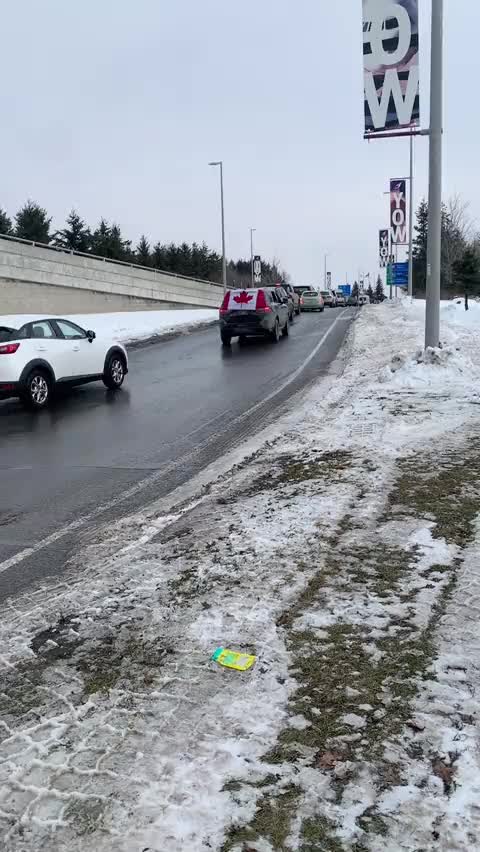 Freedom Convoy supporters at the Ottawa Airport