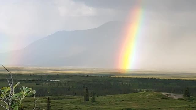 Denali Highway Alaska