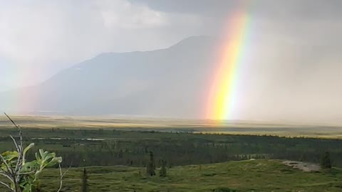 Denali Highway Alaska