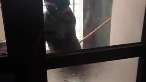 Hilarious impatient pup rings doorbell to come inside