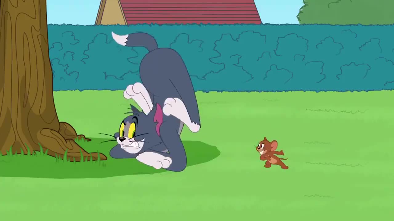 Funny video the tom and jerry.
